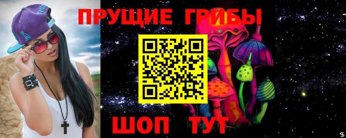 Галлюциногенные грибы GOLDEN TEACHER  Галлюциногенные грибы GOLDEN TEACHER  Ковров  Вход с VPN 
