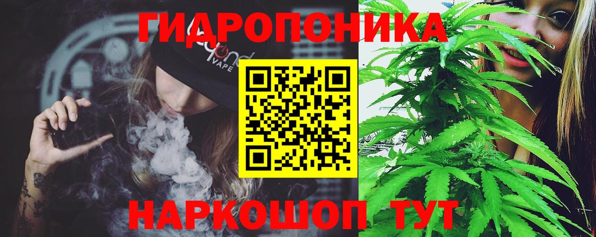 Канабис планчик  Канабис Amnesia  Бошки Шишки планчик  Марихуана SATIVA & INDICA  Вход с VPN  Ковров 